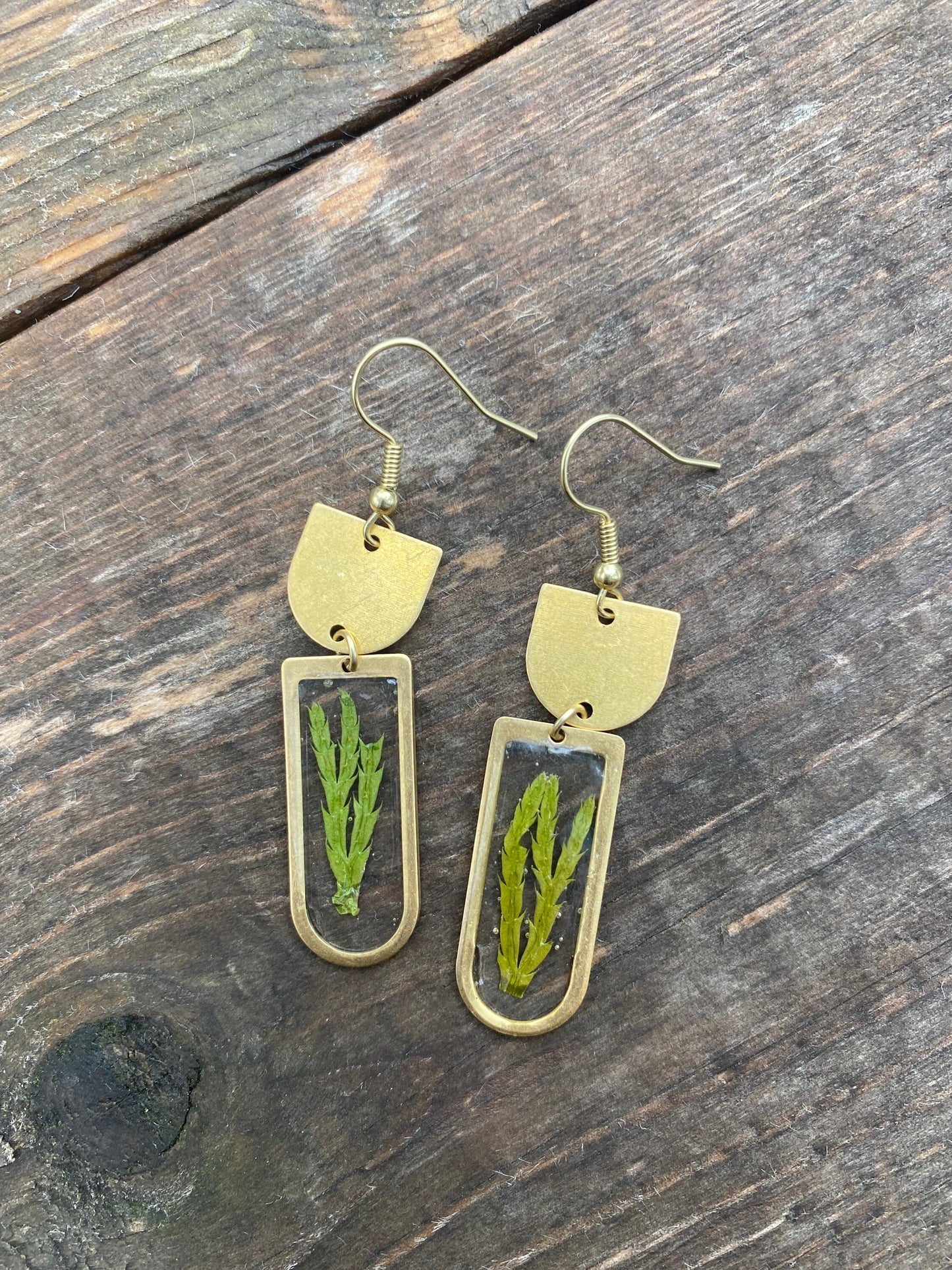 Ground Cedar Arches Earrings