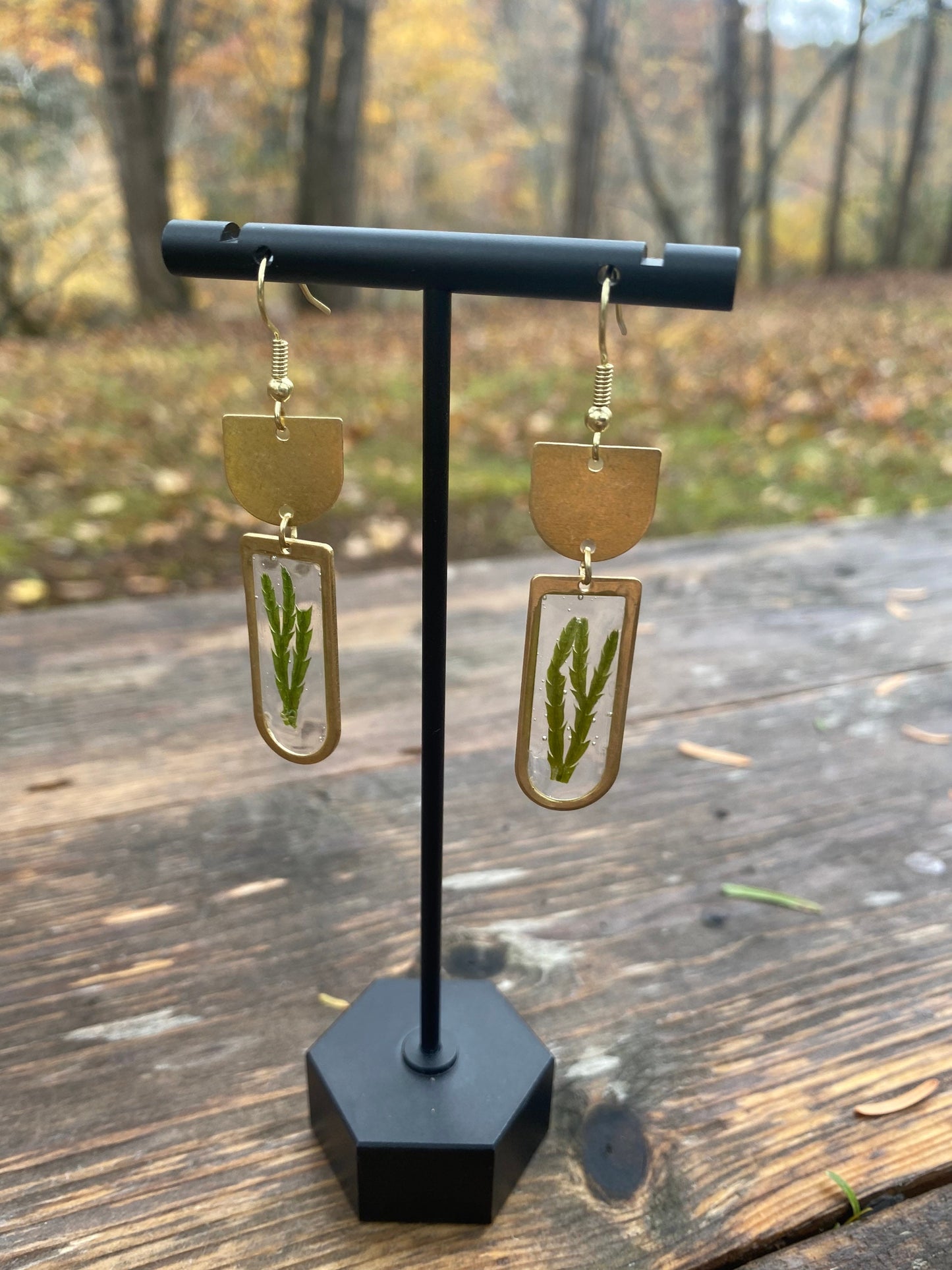 Ground Cedar Arches Earrings