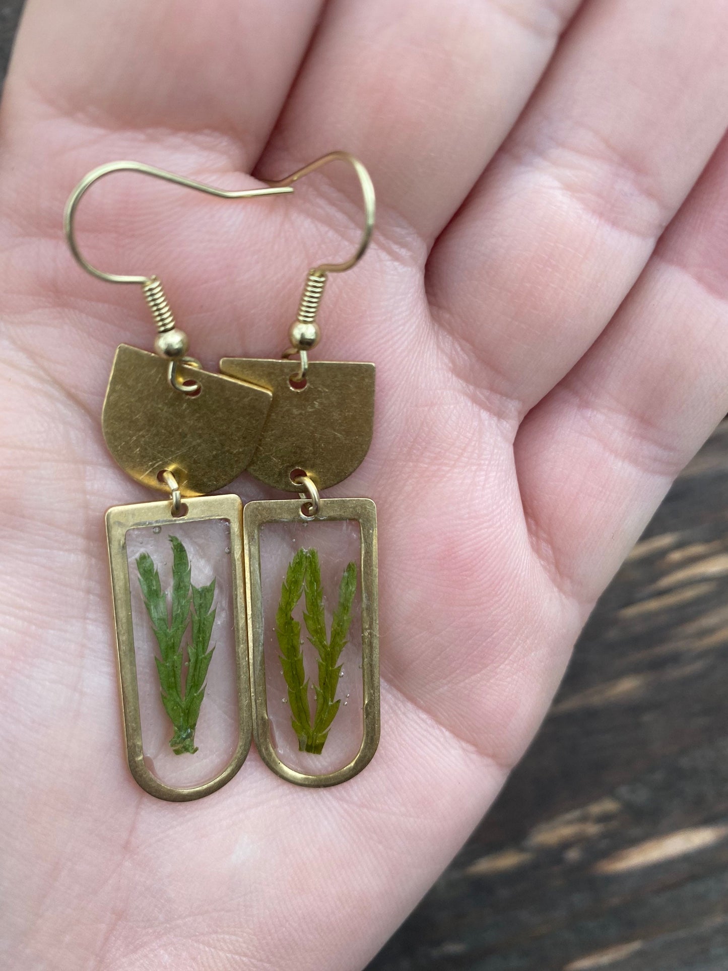 Ground Cedar Arches Earrings
