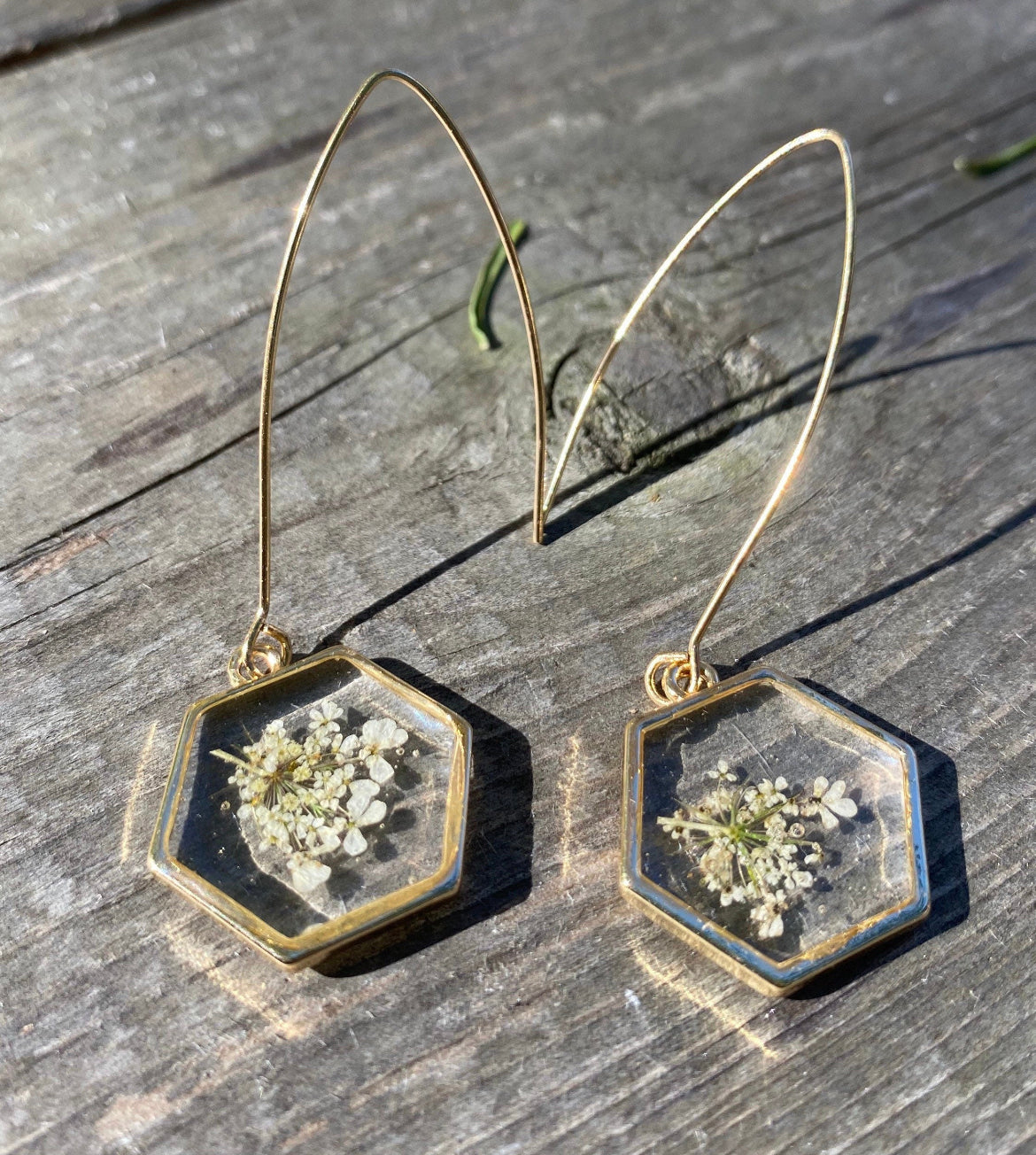 Long Queen Anne’s Lace Honeycomb