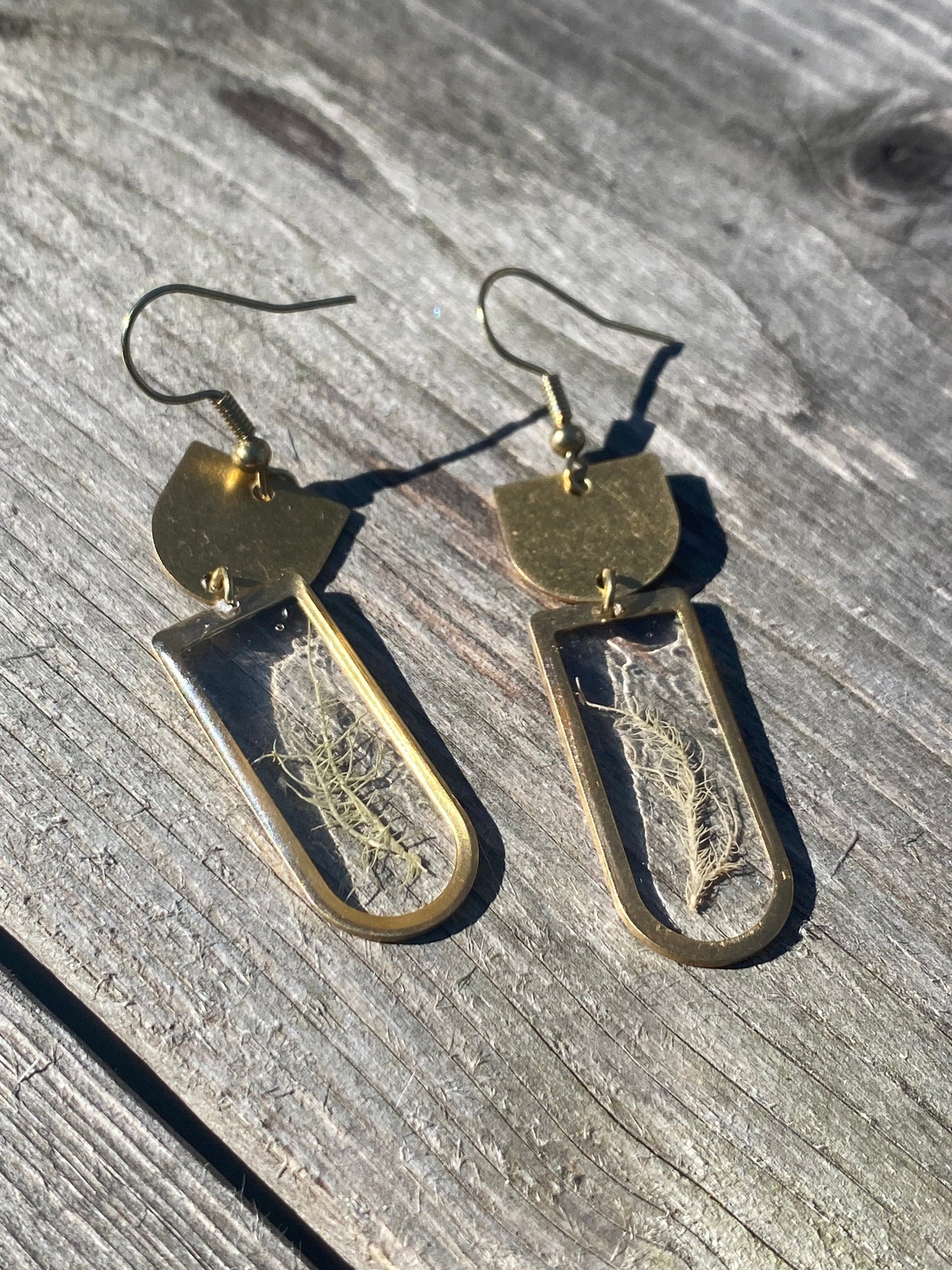 Pressed lichen and resin dangle earrings