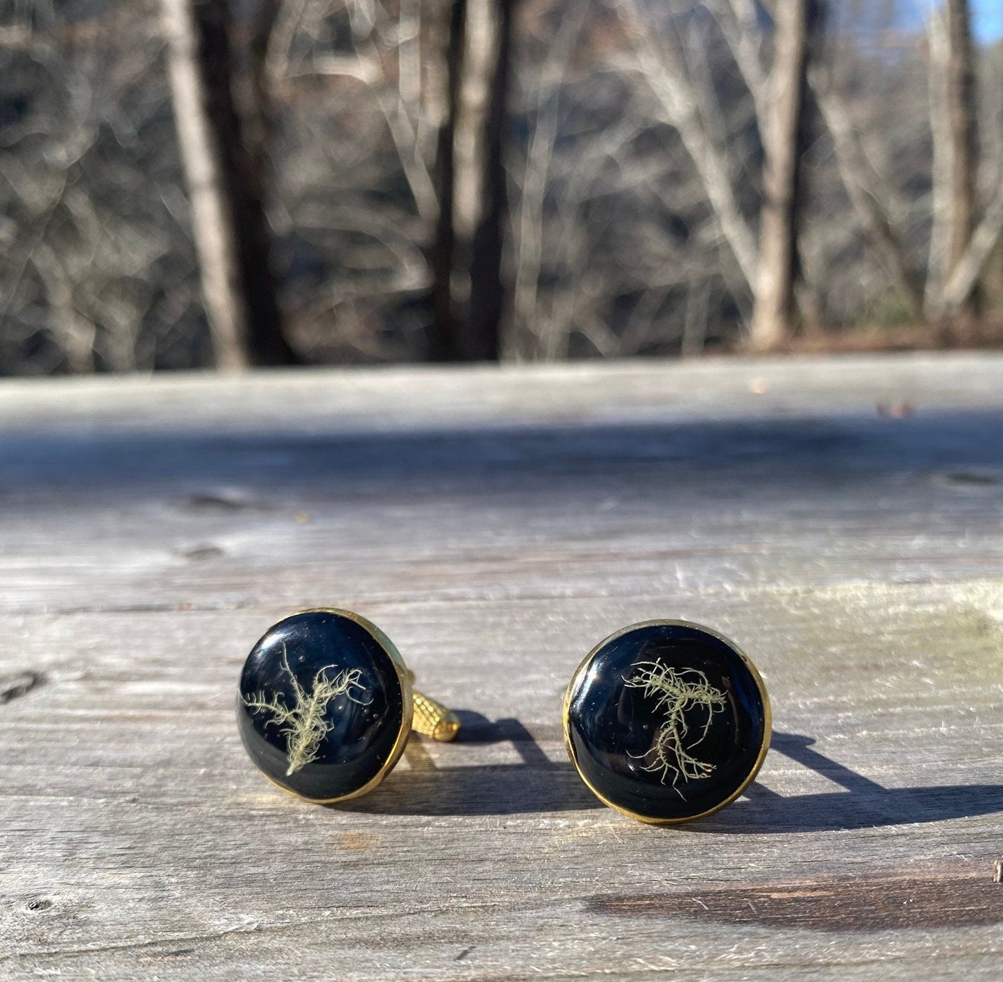 Lichen and resin gold plated cuff links
